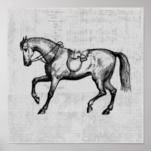 paard met achtergrond muziekpapier poster