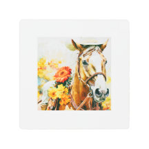 paard met cowgirl pet
