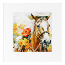 paard met cowgirl pet