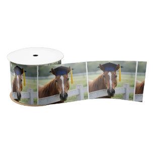 Paard met een afstudeerhoed lint
