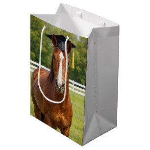 Paard met een afstudeerhoed medium cadeauzakje