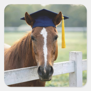 Paard met een afstudeerhoed vierkante sticker