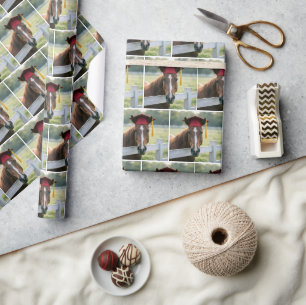 Paard met een rode afstudeerhoed cadeaupapier