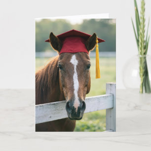 Paard met een rode afstudeerhoed kaart