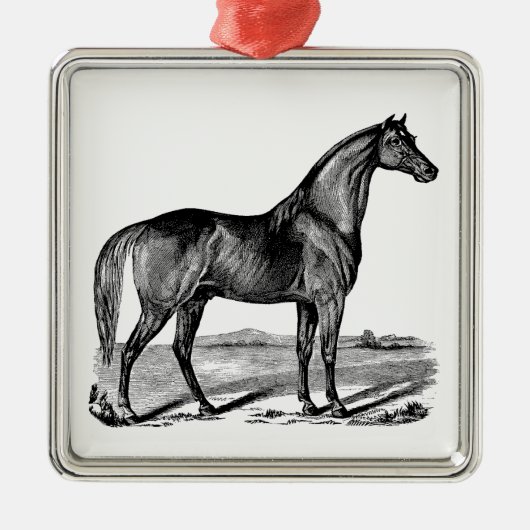  paard metalen ornament (Voorkant)