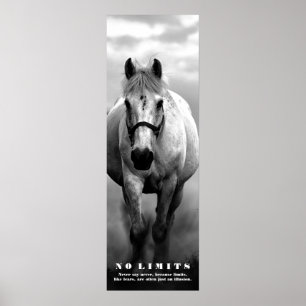 Paard Motivatie No Limits Kunstwerk Zwart Wit Poster