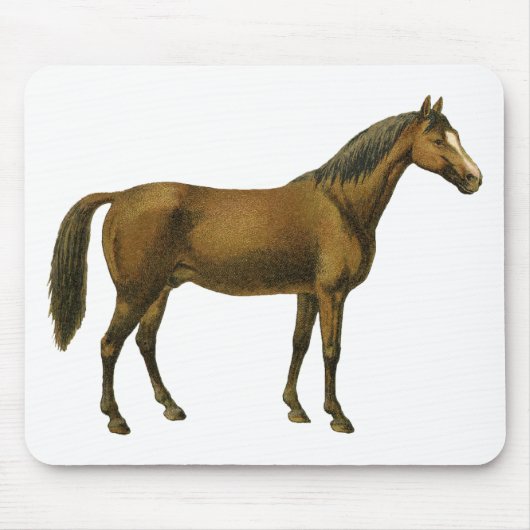  paard muismat (Voorkant)