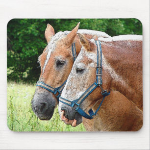 Paard Muismat