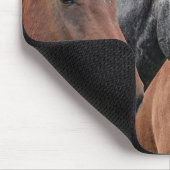 Paard Muismat (Hoek)