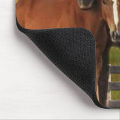 Paard Muismat (Hoek)