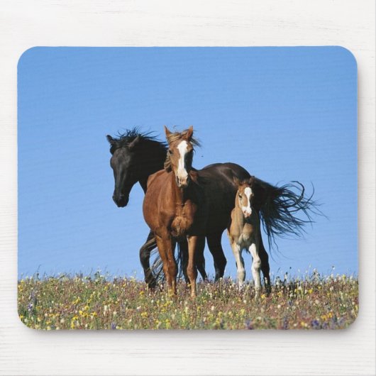 paard muismat (Voorkant)