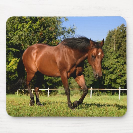 Paard Muismat (Voorkant)