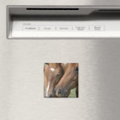 Paard Nuzzle Vierkante magneet (Insitu (Vaatwasser))