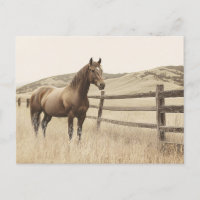 Paard op de Range  Sepia