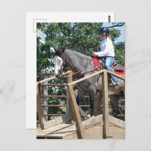 Paard op een Bridge Trail Class County Fair Briefkaart (Voorkant / Achterkant)