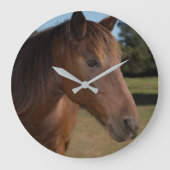 Paard op Ronde Klok (Voorkant)