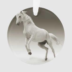 paard ornament