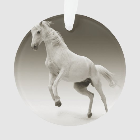 paard ornament (voorkant)