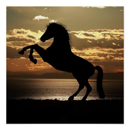 paard perfect poster (Voorkant)