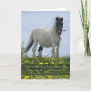 Paard Pet Sympathy Card - Equine Sympathy - Pit Po Kaart