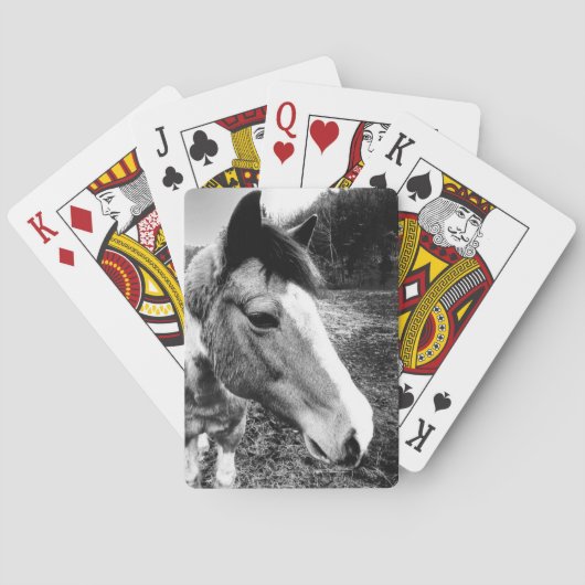 Paard Pokerkaarten (Achterkant)