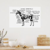 Paard Poster (Keuken)