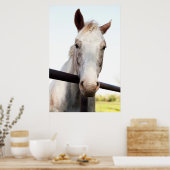 Paard Poster (Keuken)