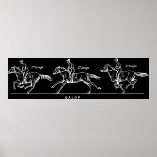 Paard Poster