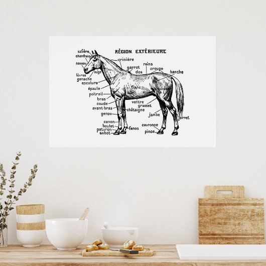 Paard Poster (Keuken)
