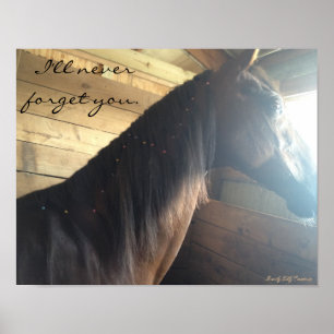 Paard poster: "Ik zal je nooit vergeten." Poster