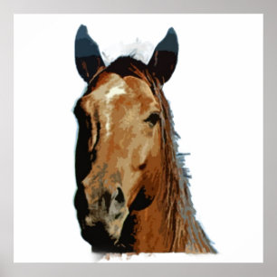 Paard Poster Print