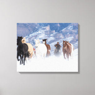 Paard rent door de sneeuw canvas afdruk