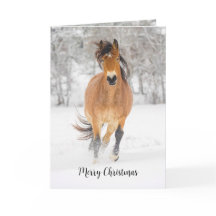 Paard rent in Sneeuw Vouw Kerstkaart
