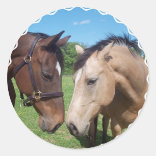 Paard Romance Stickers