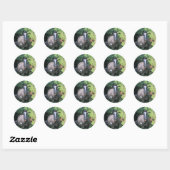 Paard Ronde Sticker (Vel)