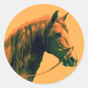 Paard Ronde Sticker