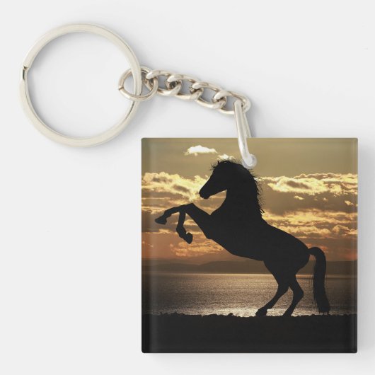 paard sleutelhanger (voorkant)