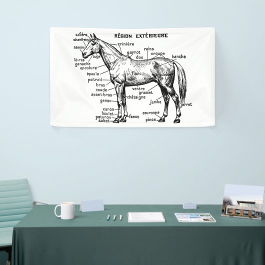 Paard Spandoek (Beurs)