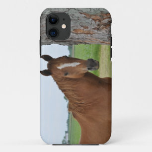Paard Staand Bij Boom Geval iPhone 11 Hoesje