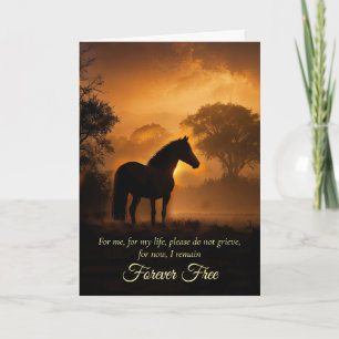 Paard Sympathie Gratis Paard in Zonsondergang Verl Kaart