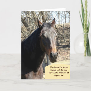 Paard Sympathie Kaart met Quote