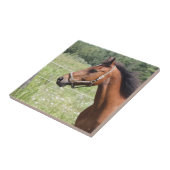 Paard Tegeltje (Zijkant)