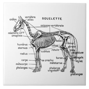 Paard Tegeltje
