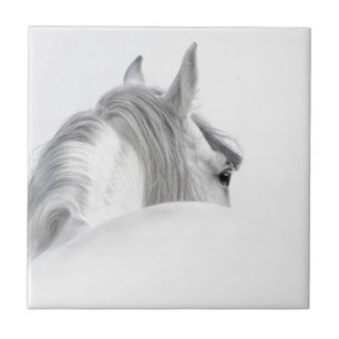 Paard Tegeltje