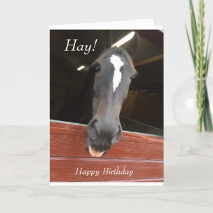 Paard thema verjaardagskaart kaart