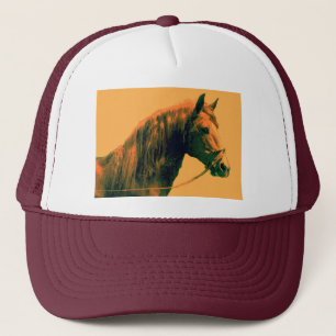 Paard Trucker Pet