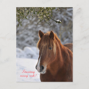 Paard Tsjechisch Nieuwjaar briefkaart