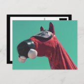 paard van de koude oorlog briefkaart (Voorkant / Achterkant)