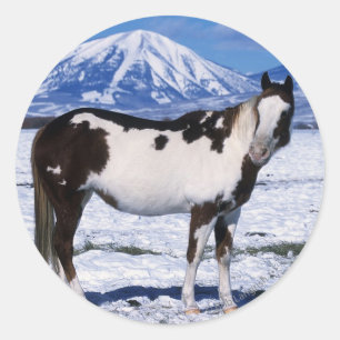 Paard van de verf die in de sneeuw staat ronde sticker