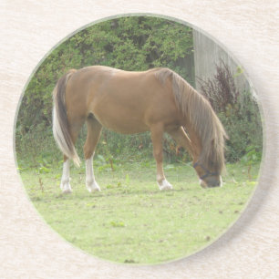 Paard van kastanjebruin grazend Onderzetters